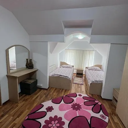 Guest house Pensiunea Flori *