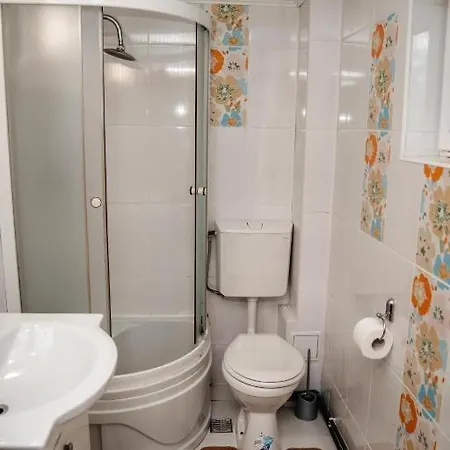 Guest house Pensiunea Flori *