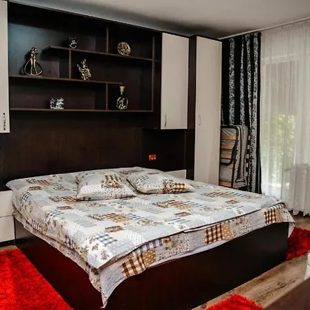 Guest house Pensiunea Flori *