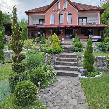 Pensiunea Flori Guest house Vata de Jos