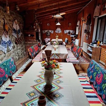 Pensiunea Flori Guest house *