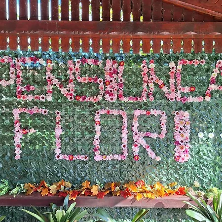 Guest house Pensiunea Flori